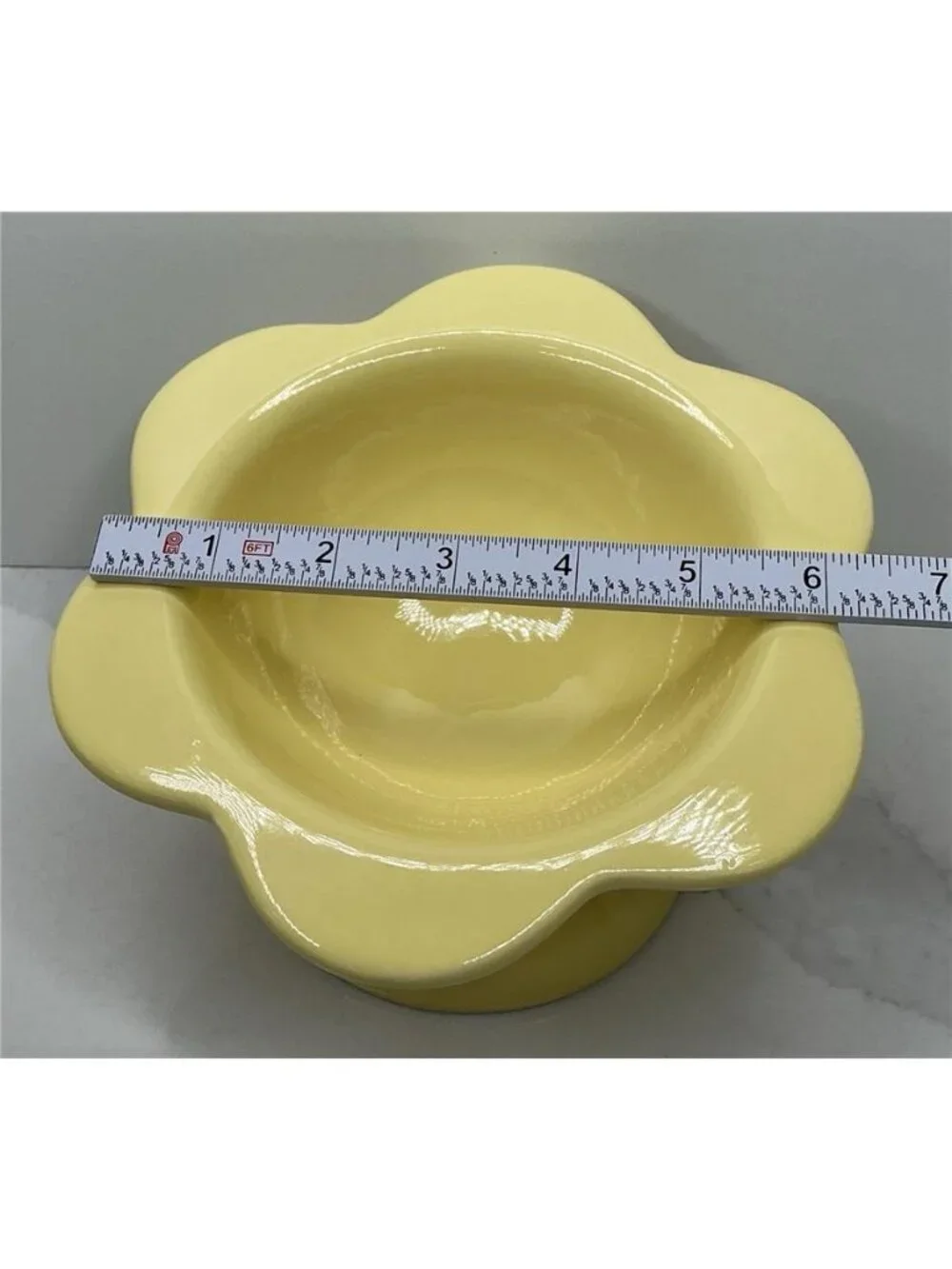 Rare Rockybear Pets Ceramic Food Bowl Elevated 4